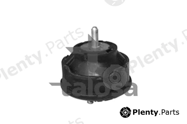 Talosa 61-06617 — Mounting, engine