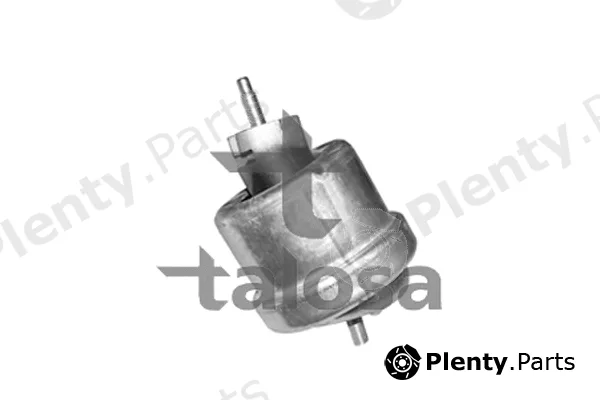 Talosa 61-06973 — Mounting, engine