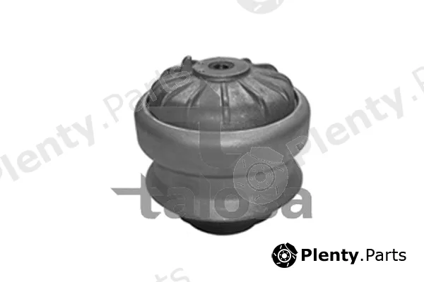 Talosa 61-06851 — Mounting, engine