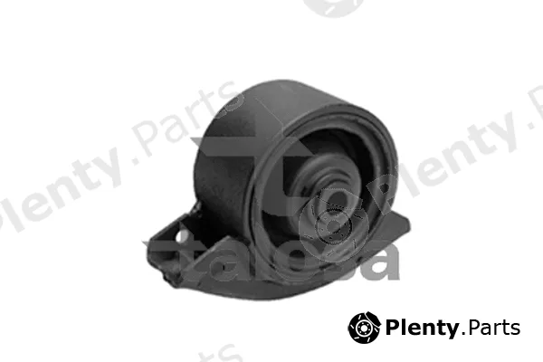Talosa 61-06823 — Mounting, engine