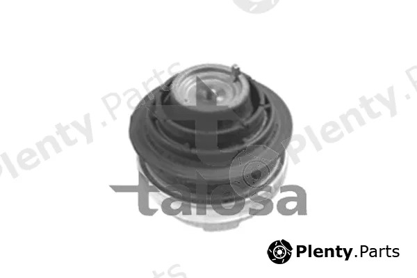 Talosa 61-06871 — Mounting, engine