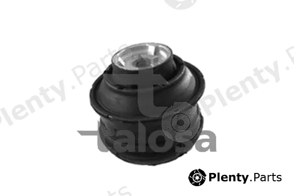 Talosa 61-06860 — Mounting, engine