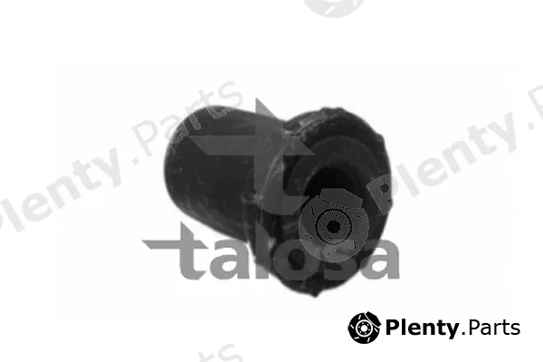 Talosa 64-12795 — Mounting, leaf spring