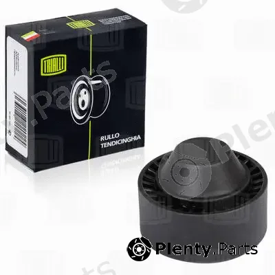 Trialli CM2004 — Deflection/Guide Pulley, V-ribbed belt