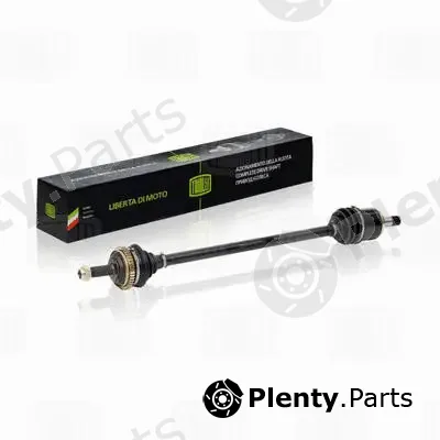 Trialli AR810 — Drive Shaft