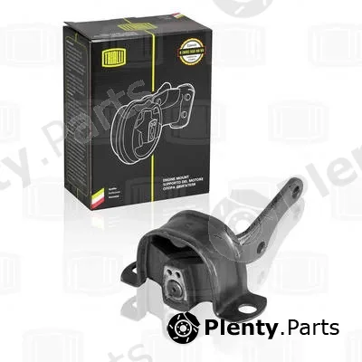 Trialli RM0111 — Mounting, engine