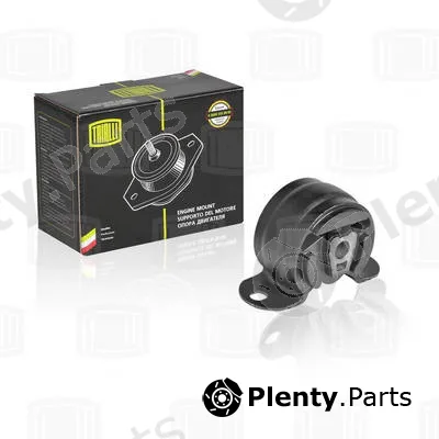 Trialli RM0306 — Mounting, engine