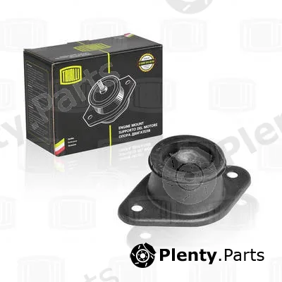 Trialli RM0307 — Mounting, engine