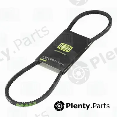 Trialli AVX10X900 — V-Belt