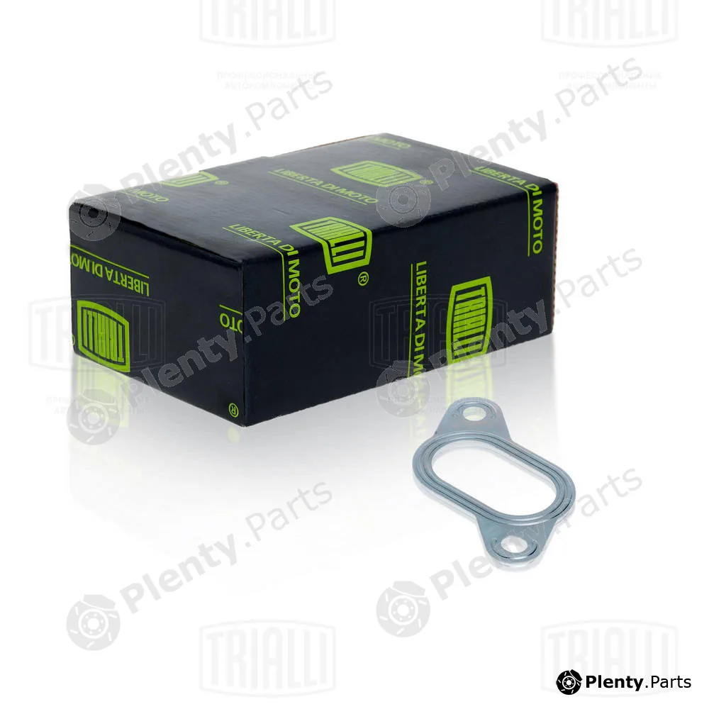 Trialli GZ1020019 — Gasket Set, exhaust manifold