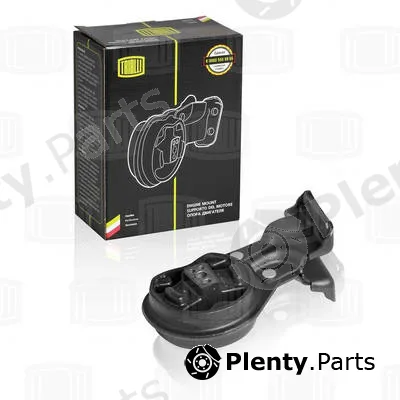 Trialli RM0109 — Mounting, engine