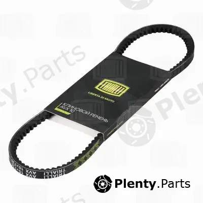 Trialli AVX10X725 — V-Belt