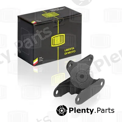 Trialli RM0102 — Mounting, engine