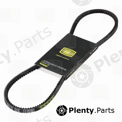 Trialli AVX10X938 — V-Belt