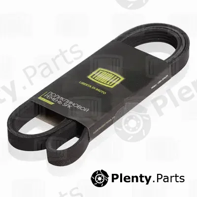 Trialli 5PK1720 — V-Ribbed Belt