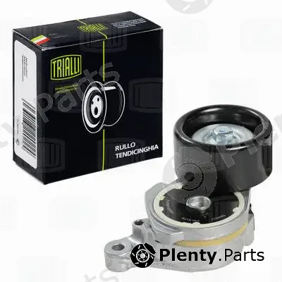 Trialli CM6176 — Deflection/Guide Pulley, V-ribbed belt