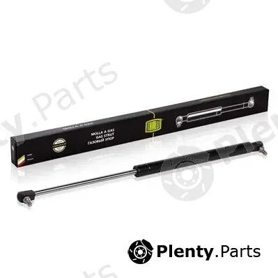 Trialli GS0302 — Gas Spring, bonnet