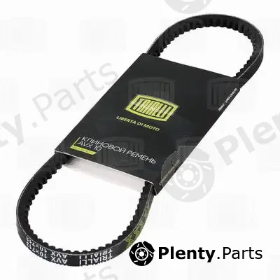 Trialli AVX10X713 — V-Belt