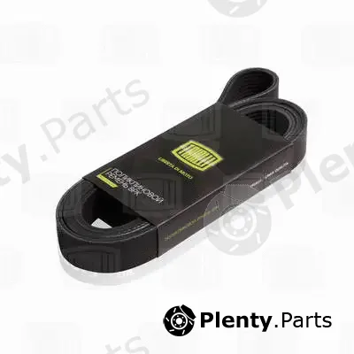Trialli 8PK1615 — V-Ribbed Belt
