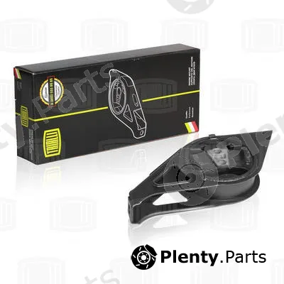 Trialli RM0116 — Mounting, engine
