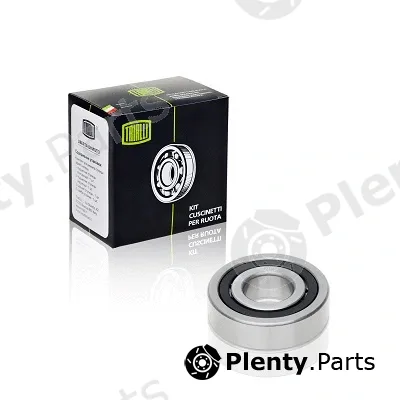 Trialli CT305 — Bearing, manual transmission