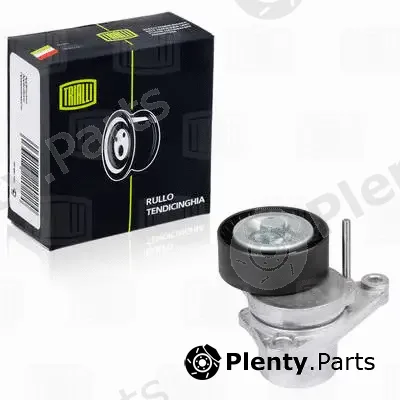 Trialli CM2005 — Deflection/Guide Pulley, V-ribbed belt