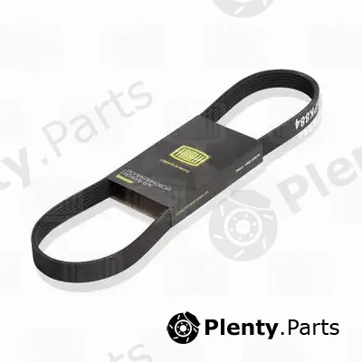 Trialli 6PK976 — V-Ribbed Belt
