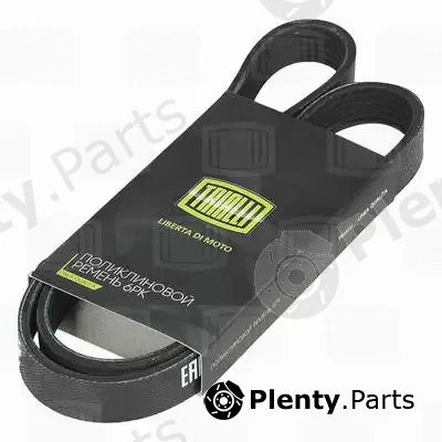 Trialli 6PK1020E — V-Ribbed Belt