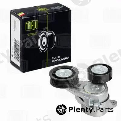 Trialli CM5341 — Deflection/Guide Pulley, V-ribbed belt