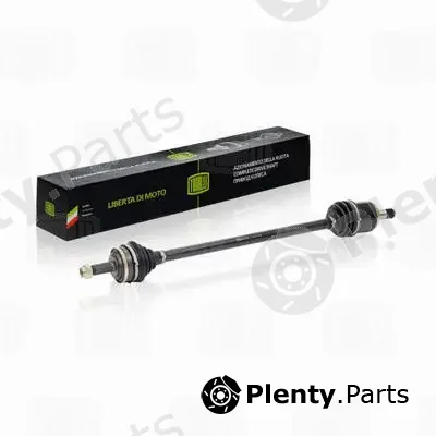 Trialli AR790 — Drive Shaft