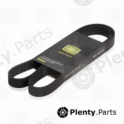 Trialli 6PK1050 — V-Ribbed Belt