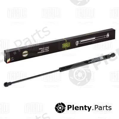 Trialli GS2007 — Gas Spring, boot/cargo area