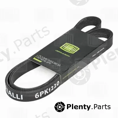 Trialli 6PK1220 — V-Ribbed Belt