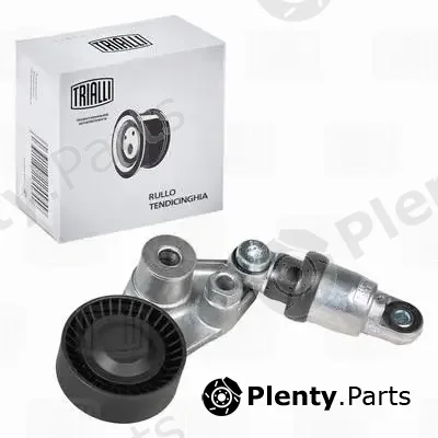 Trialli CMS1701 — Deflection/Guide Pulley, V-ribbed belt