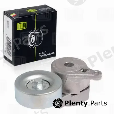 Trialli CM1110 — Deflection/Guide Pulley, V-ribbed belt