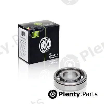 Trialli CT306 — Bearing, manual transmission