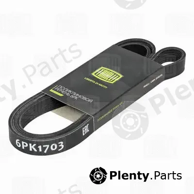 Trialli 6PK1703 — V-Ribbed Belt