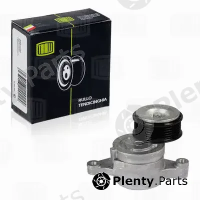 Trialli CM2502 — Deflection/Guide Pulley, V-ribbed belt