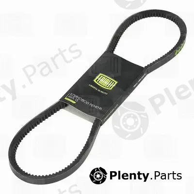 Trialli AVX13X1013 — V-Belt