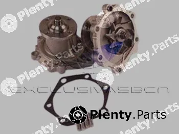 MDR MWP-4253 — Water Pump, engine cooling