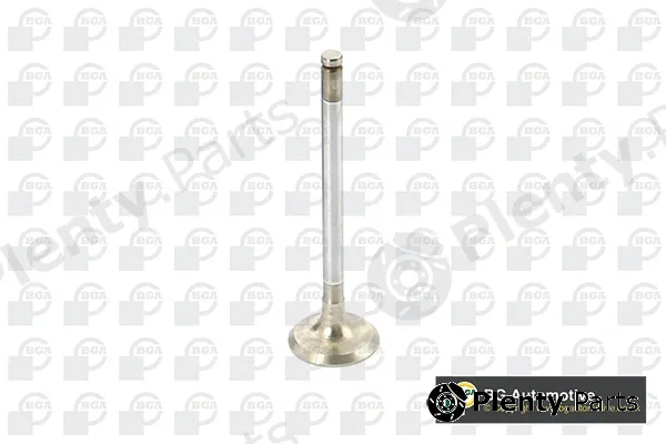 BGA V164989 — Exhaust Valve