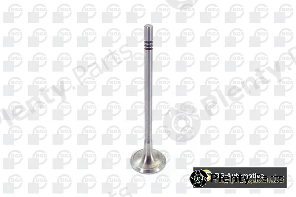 BGA V200611 — Exhaust Valve