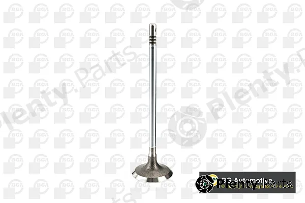 BGA V200001 — Intake Valve
