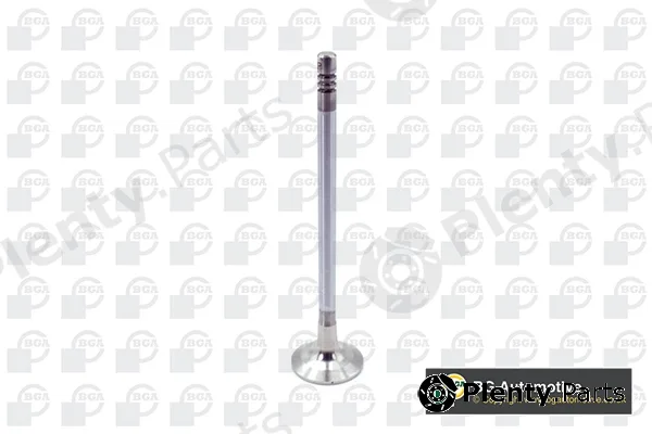 BGA V204955 — Exhaust Valve