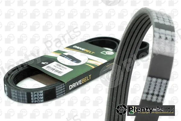 BGA 5PK870 — V-Ribbed Belt