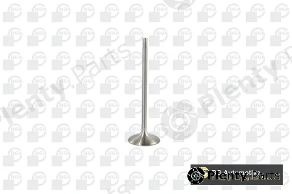 BGA V095111 — Intake Valve
