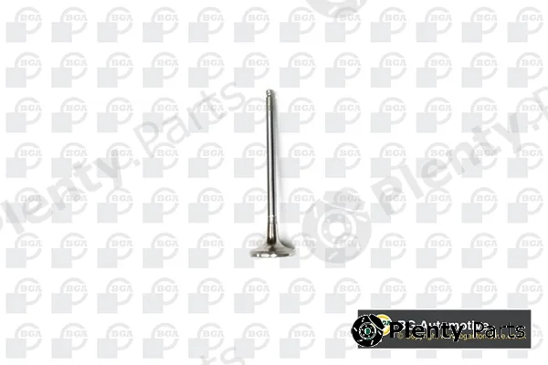 BGA V141081 — Exhaust Valve