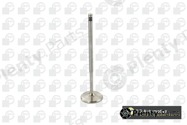 BGA V969601 — Intake Valve