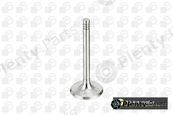 BGA V033313 — Intake Valve