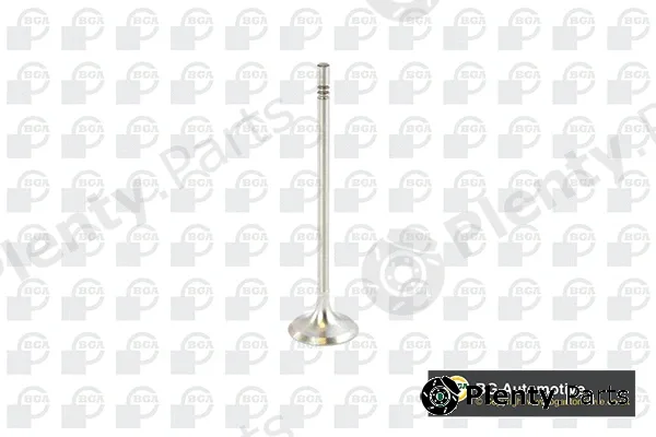 BGA V016839 — Intake Valve
